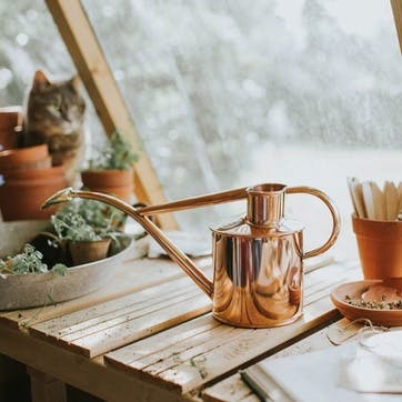 The Rowley Ripple Multi Purpose Watering Can 2 Pint, Copper