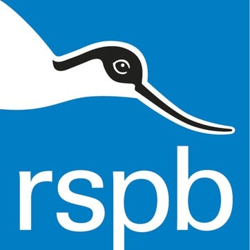 A Donation Towards the RSPB
