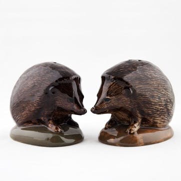 Hedgehog Salt & Pepper Shakers H5.5cm Brown