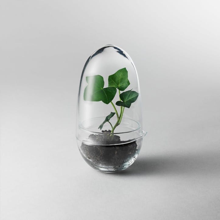 Grow Greenhouse, Small
