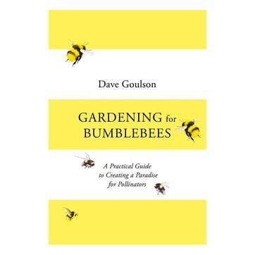 Gardening for Bumblebees: A Practical Guide to Creating a Paradise for Pollinators