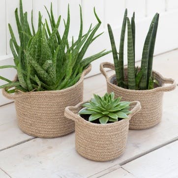 Woven Plant Pots, Set of 3