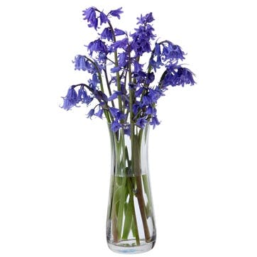 Florabundance Bluebell Vase