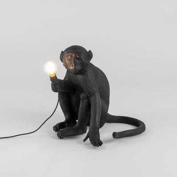 Outdoor Monkey Light, Sitting