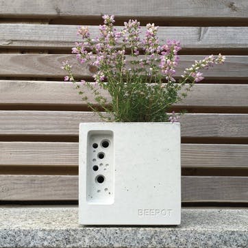 Beepot Concrete Planter and Bee House - Mini; White