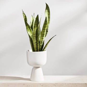 Nappula Plant Pot, White,Small