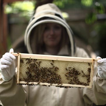 Urban Beekeeping and Honey Craft Beer Tasting for Two