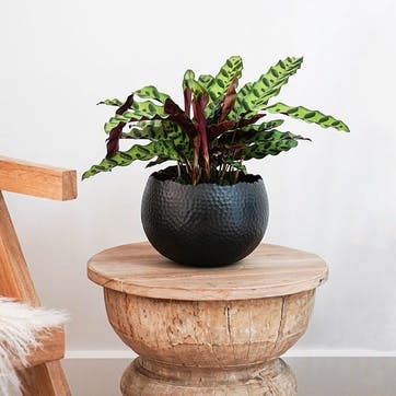 Hammered, Bowl Planter, 30cm, Black/Copper