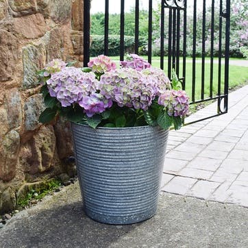 Galvanised Ribbed Planter D37cm, Silver