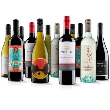 World-Class 12 Bottle Mixed Wine Case