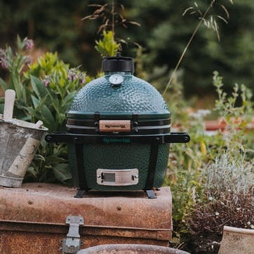 MINIMAX BIG GREEN EGG