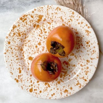 Splatter Dinner Plate D24cm, Burnt Orange