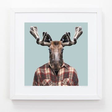 Zoo Portrait Print Moose, 33cm x 33cm