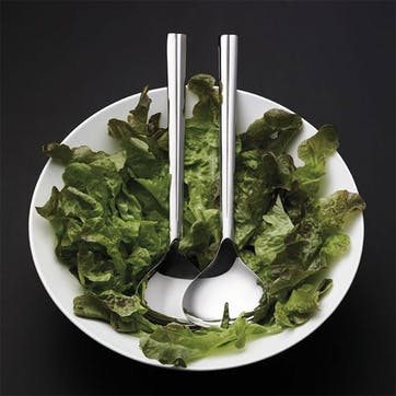 Salad Serving Set, Steel