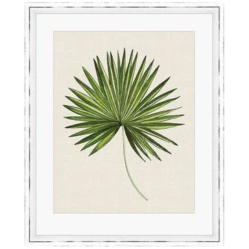 Summer Thornton Tropical Leaf III Framed Print, 55 x 45cm