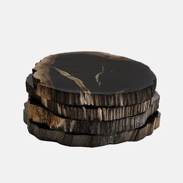 Balfern Set of 4 Petrified Wood Coasters D12cm, Black