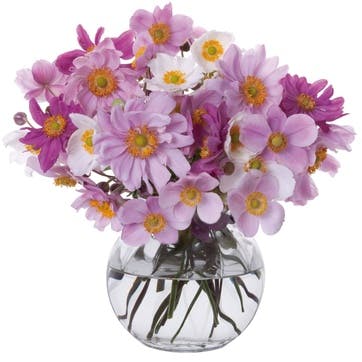 Florabundance Anemone Vase