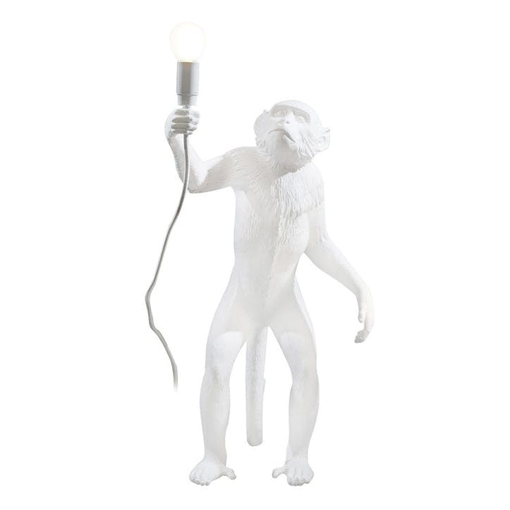 Monkey Light, Standing