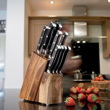 Traditional 9 Piece Kitchen & Steak Knife Set with Block, Acacia Wood