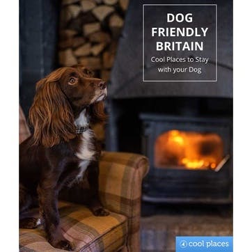 Dog Friendly Britain: Cool Places to Stay with your Dog Book