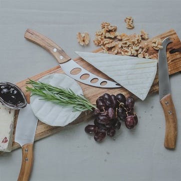 Artesà Cheese Knife Set