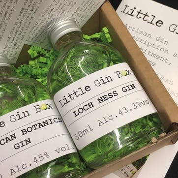 Three Months Gin Subscription with Little Gin Box