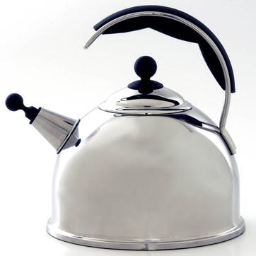 Stainless Steel Whistling Kettle, Polished Steel