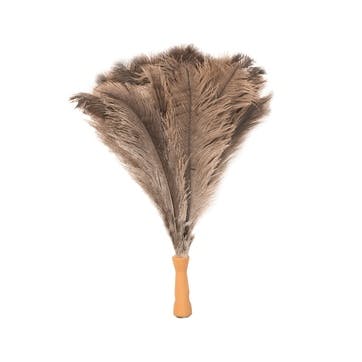 Extendable Ostrich Feather Duster, L2m
