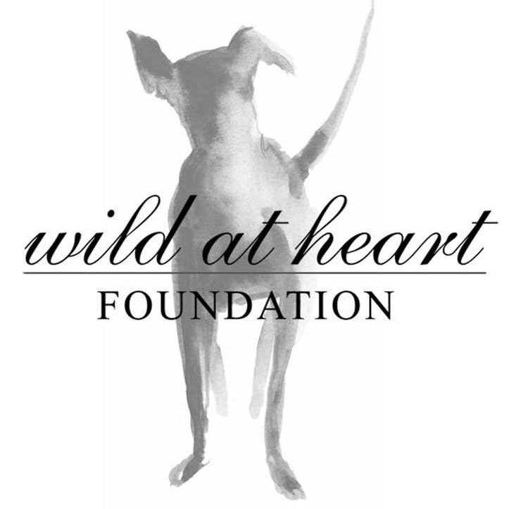 A Donation Towards Wild at Heart Foundation