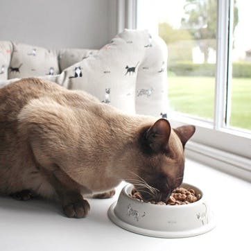 'Purrfect!' Cat Bowl