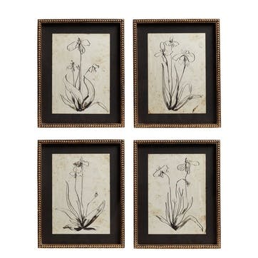 Narin Set of 4 Framed Prints, Multi