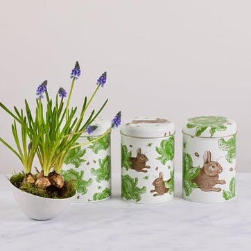 Rabbit & Cabbage Set Of 3 Round Caddies 10cm x 15cm