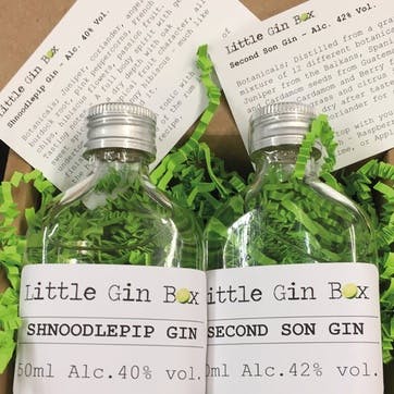 Six Months Gin Subscription with Little Gin Box