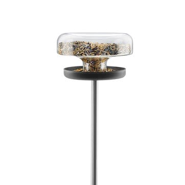 Bird Table, Clear