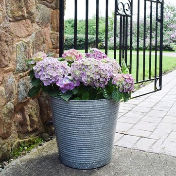 Galvanised Ribbed Planter D37cm, Silver