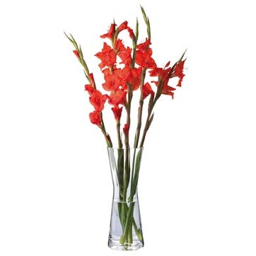 Florabundance Gladioli Vase