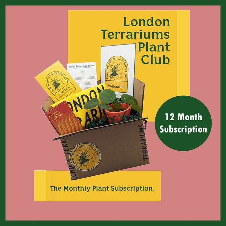 12 Month Plant Club Subscription Voucher