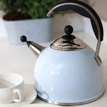 Stainless Steel Whistling Kettle, Duck Egg Blue