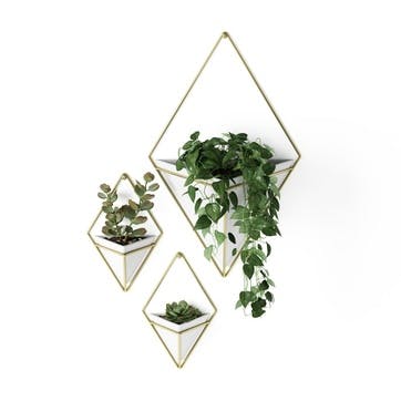 Trigg Wall Vessel Set of 2, White Brass