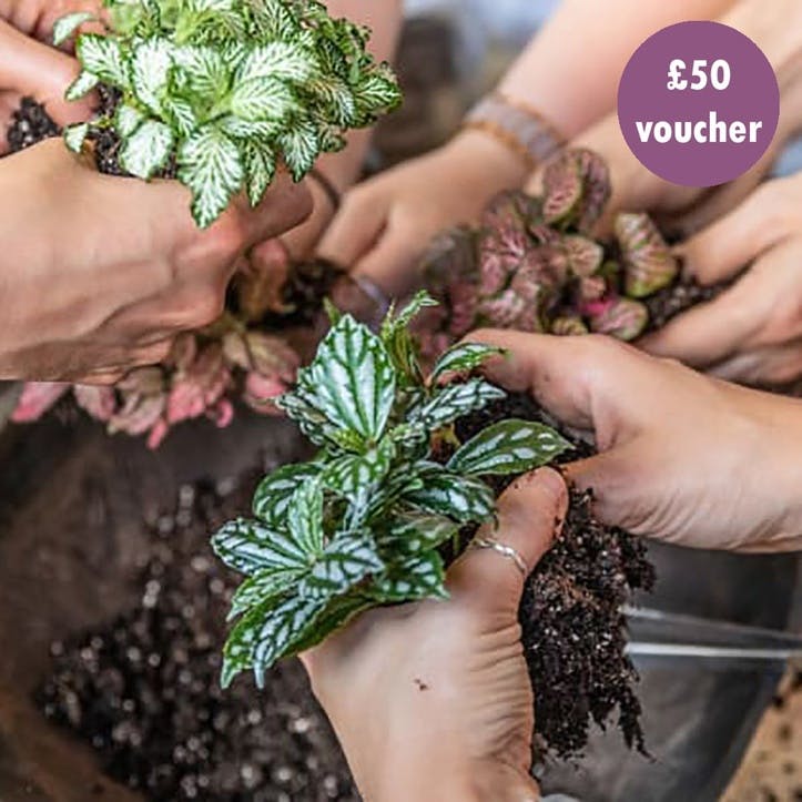£50 Gift Voucher - Floristry Classes