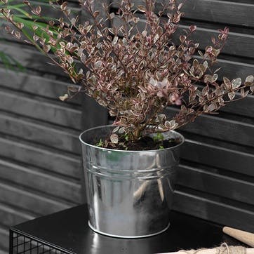 Winson Plant Pot H20.5cm, Black