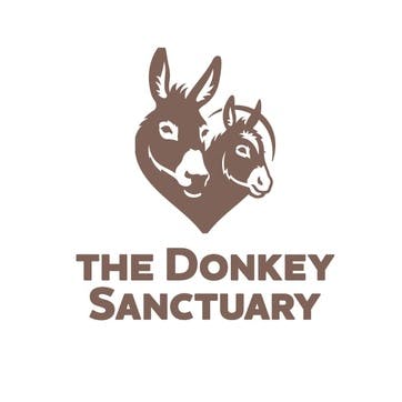 A Donation Towards The Donkey Sanctuary