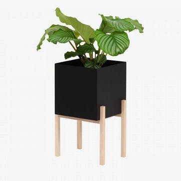 Botanical, High Planter, Black