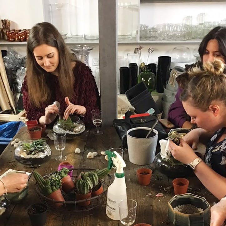 Terrarium Workshop with Prosecco for Two