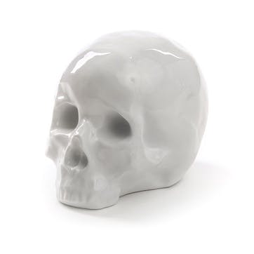 Skull, Memorabilia, White