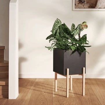 Botanical, High Planter, Black