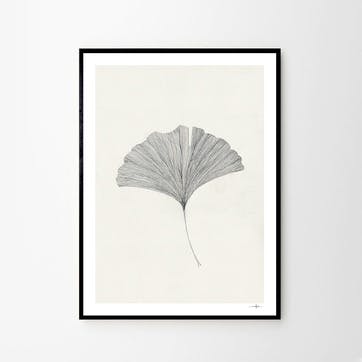 Grinko Leaf, Ana Frois Art Print