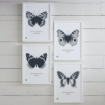 Set of 4 'British Butterflies' Screen Prints, A4, Sheer Slate