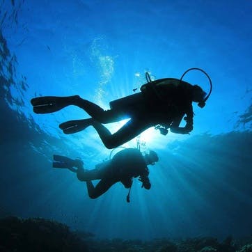 Honeymoon Scuba Diving Trip Contribution £100