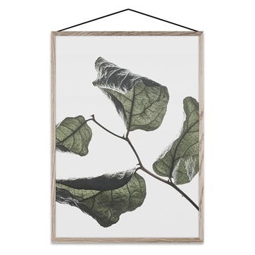 Floating Leaves 03 - A3 FSC Print 42 x 30cm